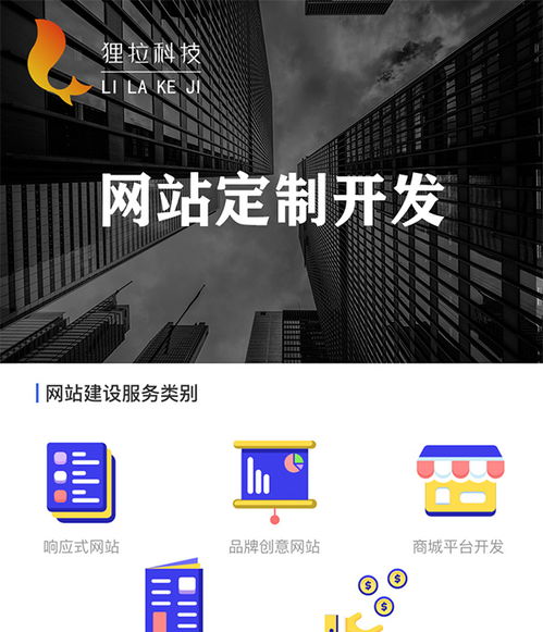 軟件公司 貍拉網絡科技 貍拉軟件公司