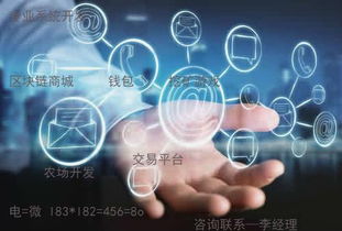 趣步系統(tǒng)定制與軟件系統(tǒng)定制開發(fā) 專業(yè)解決方案與應用前景